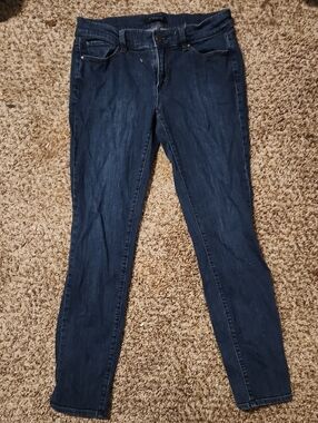 Ann Taylor Dark Blue Skinny Jeans